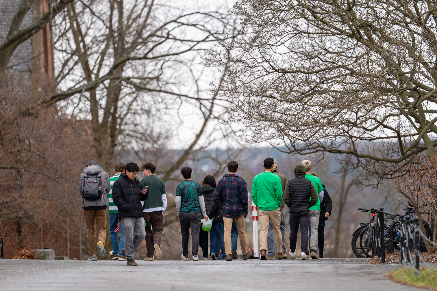 St. Patrick's Day at Cornell 2026